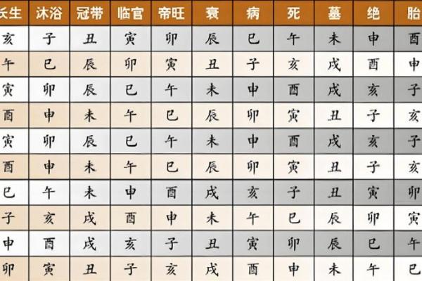 翻天覆地：地支相冲引发的巨变