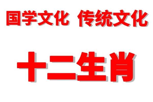 鼠五行属什么解析