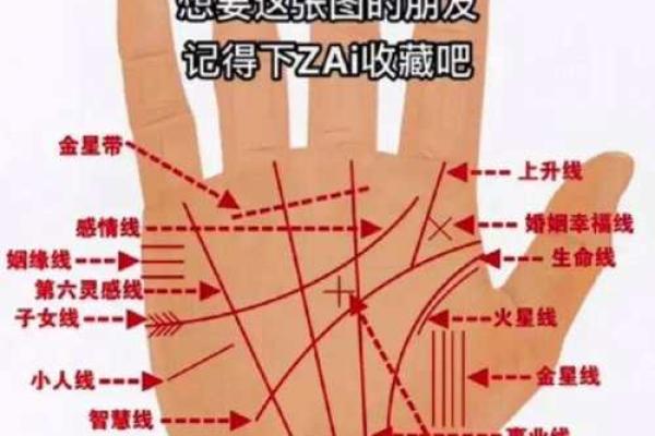 爱情线揭秘：手相中的甜蜜密码