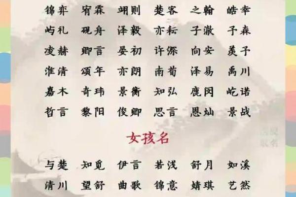 名扬四海：盘点最受欢迎的最佳女孩名字精逿