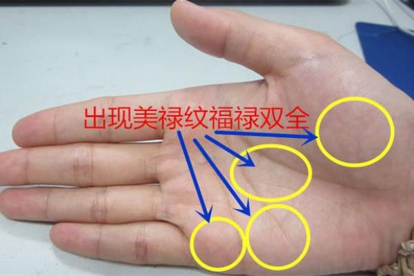 官印纹揭秘：财运亨通的秘密符号