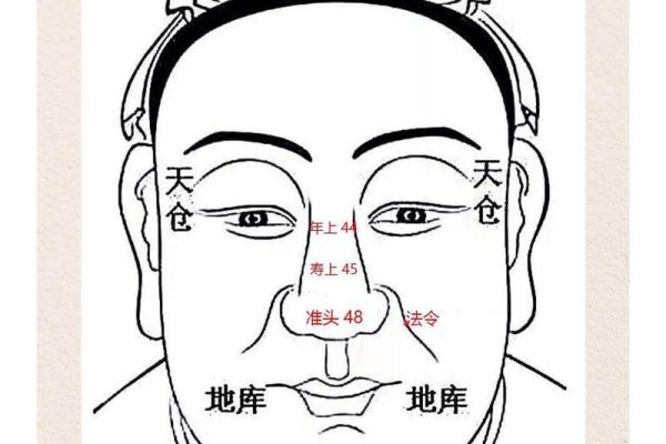面相揭秘：七星运势指引人生轨迹