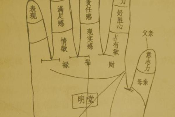 天赋异禀：手相无上升线，命运由此开启