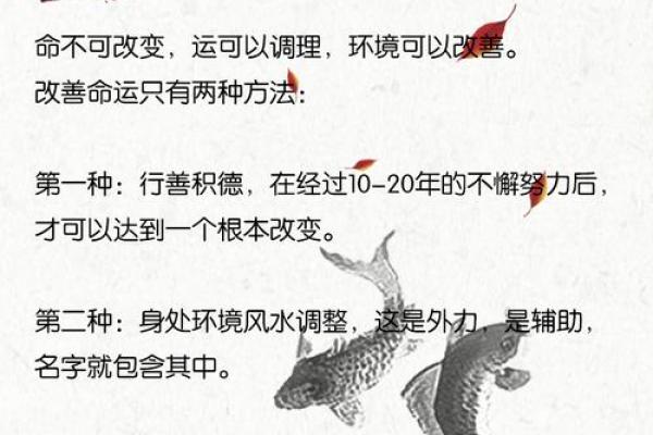 杭州周易公司起名推荐及技巧解析