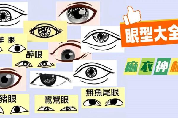 眼神透露运势：揭秘眼睛中的命运密码
