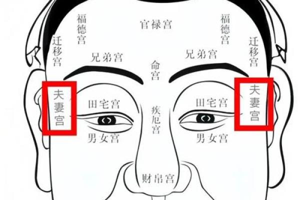 额头突显的面相解析：洞察智慧与领导力的秘密