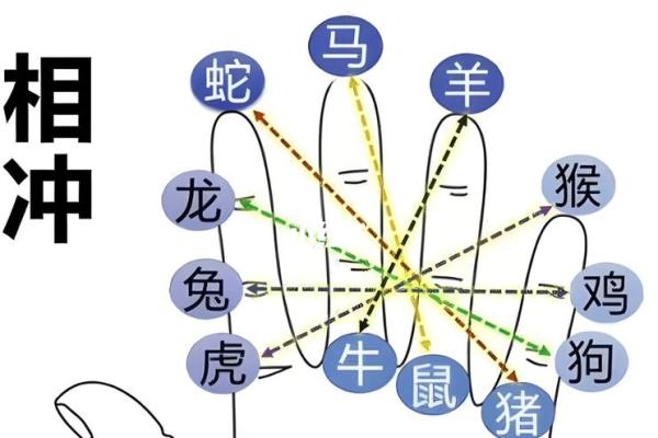 丑牛相遇，运势翻倍，地支相冲背后的秘密