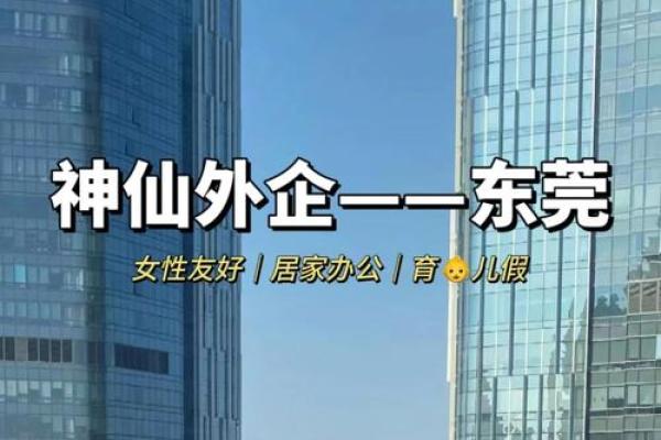 探索东莞公司起名的法律要求与行业最佳实践
