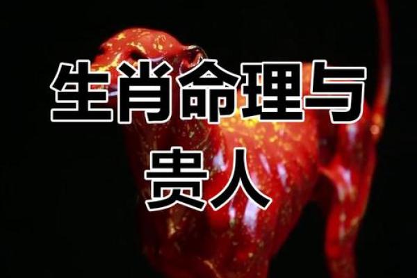 晚景凄凉：揭秘晚年悲惨命运背后的命运之谜