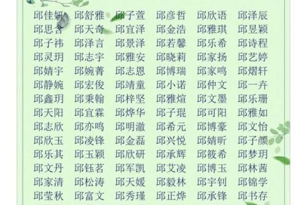 男孩名字中的传统文化寓意与象征