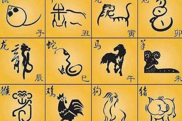 白利：揭秘姓名中的运势密码