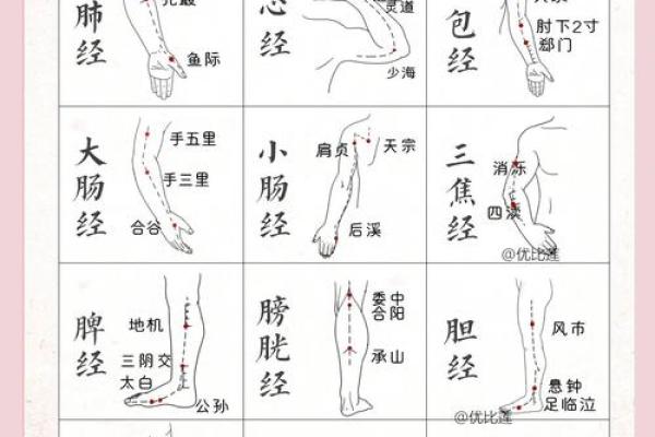 凤舞九天，姓名运势揭秘：探寻最适合你的名字奥秘
