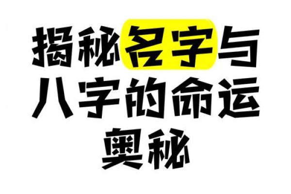 凤舞九天，姓名运势揭秘：探寻最适合你的名字奥秘