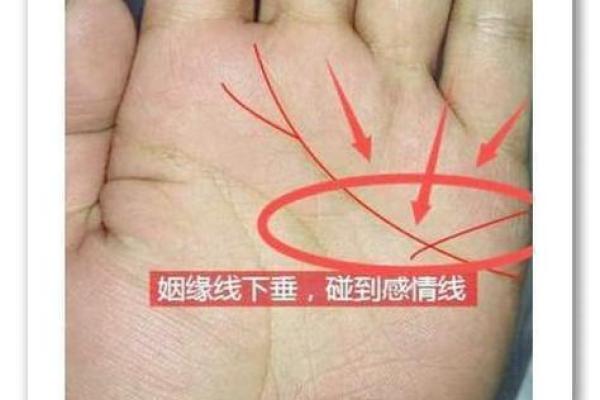 手指间的命运密码：揭秘Bazi手相绝学