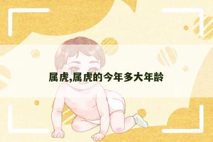 属虎,属虎的今年多大年龄