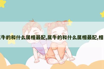 属牛的和什么属相最配,属牛的和什么属相最配,相克