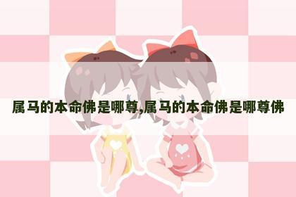 属马的本命佛是哪尊,属马的本命佛是哪尊佛