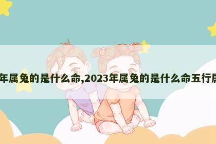 2023年属兔的是什么命,2023年属兔的是什么命五行属什么