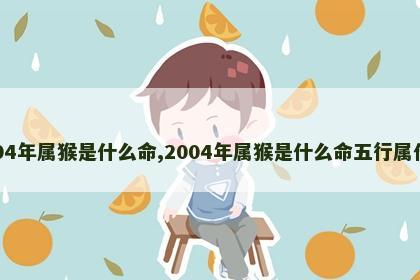 2004年属猴是什么命,2004年属猴是什么命五行属什么