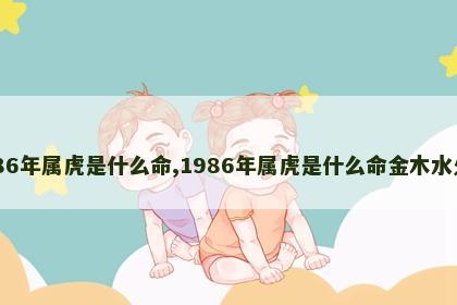 1986年属虎是什么命,1986年属虎是什么命金木水火土