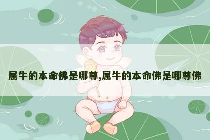 属牛的本命佛是哪尊,属牛的本命佛是哪尊佛