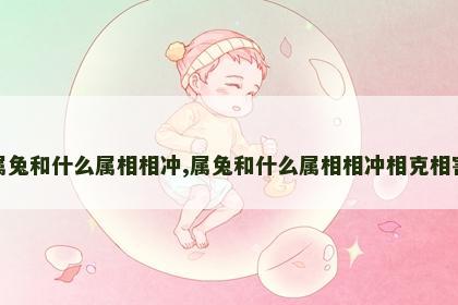 属兔和什么属相相冲,属兔和什么属相相冲相克相害