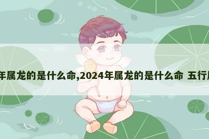 2024年属龙的是什么命,2024年属龙的是什么命 五行属什么