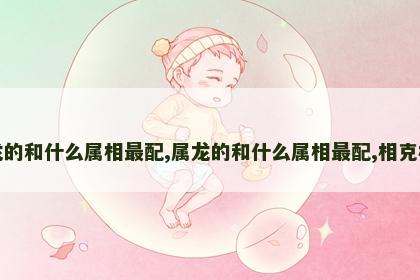 属龙的和什么属相最配,属龙的和什么属相最配,相克相冲