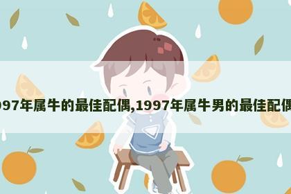 1997年属牛的最佳配偶,1997年属牛男的最佳配偶女