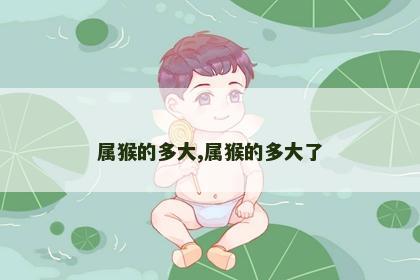 属猴的多大,属猴的多大了