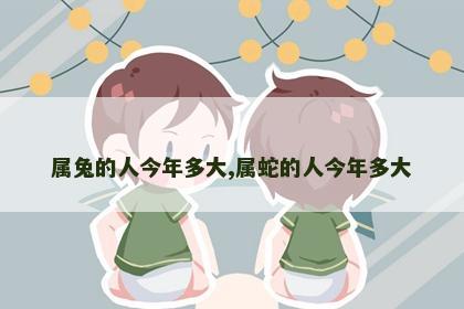 属兔的人今年多大,属蛇的人今年多大