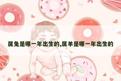 属兔是哪一年出生的,属羊是哪一年出生的