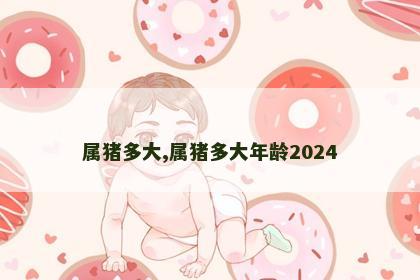 属猪多大,属猪多大年龄2024