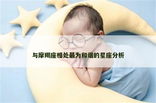 与摩羯座相处最为和谐的星座分析