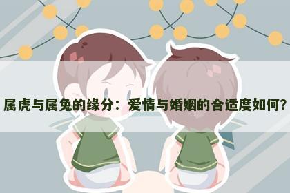属虎与属兔的缘分：爱情与婚姻的合适度如何？