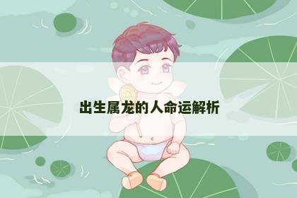 出生属龙的人命运解析
