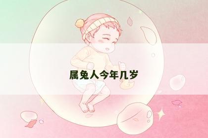属兔人今年几岁