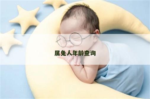 属兔人年龄查询
