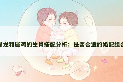 属龙和属鸡的生肖搭配分析：是否合适的婚配组合