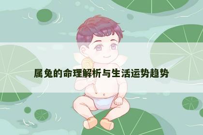 属兔的命理解析与生活运势趋势