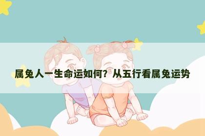 属兔人一生命运如何？从五行看属兔运势