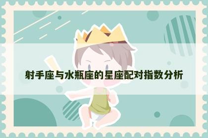 射手座与水瓶座的星座配对指数分析