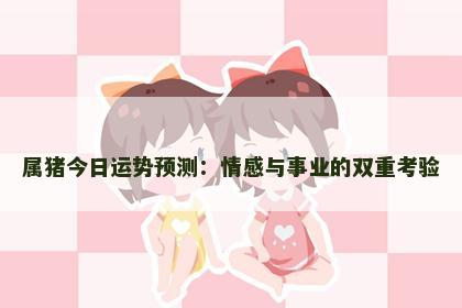 属猪今日运势预测：情感与事业的双重考验