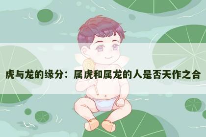 虎与龙的缘分：属虎和属龙的人是否天作之合