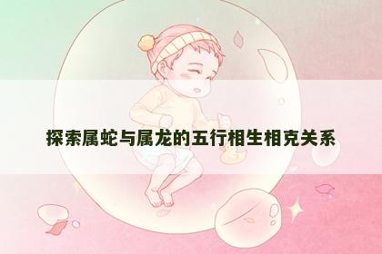 探索属蛇与属龙的五行相生相克关系