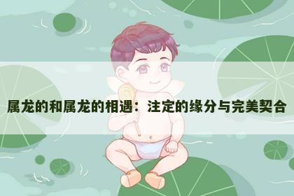 属龙的和属龙的相遇：注定的缘分与完美契合