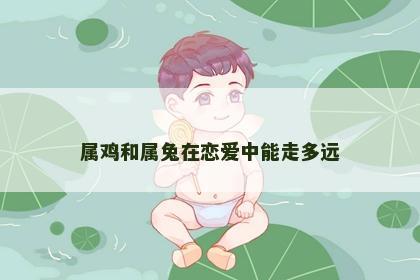 属鸡和属兔在恋爱中能走多远