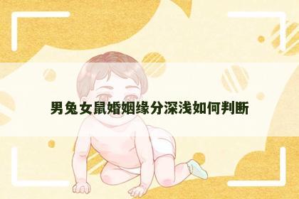 男兔女鼠婚姻缘分深浅如何判断