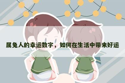 属兔人的幸运数字，如何在生活中带来好运