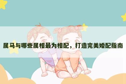 属马与哪些属相最为相配，打造完美婚配指南